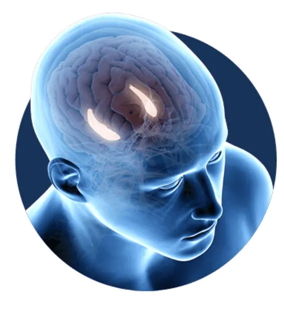 billionaire-brain-wave-brain